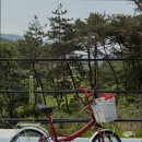 델루나 관광펜션 이미지