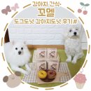 꼬멜 | [강아지 간식]"꼬멜"도그도넛 강아지빵 후기#