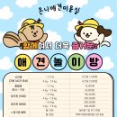 온니애견미용 이미지