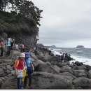 간세다리 이미지