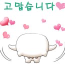 멜버른 승마 이미지