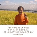 다온폰트손글씨센터 이미지