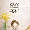 다라도 Daum카페