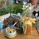 감자장군이네 수제간식 이미지