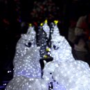 아름다운동행 이미지