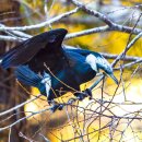 둥지 몸짓의 보금자리 이미지