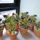 전북화원 이미지