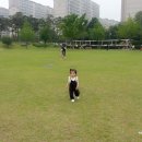 송바이인 이미지