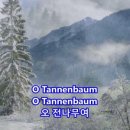탄넨바움 이미지