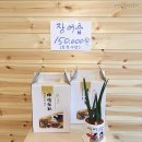 장어여행 이미지