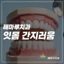 해마루치과의원 네이버블로그