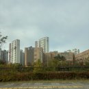 신도프라자(신도빌딩) | 아빠와 함께한 동탄2신도시 분위기 임장 후기
