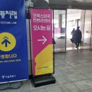 ㈜대원메디칼약품 | '컬리푸드페스타 2025 후기' 꿀팁·입장 안내·시식 브랜드 총정리 &amp; 정호영 셰프님 만남