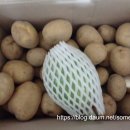 대붕농장 이미지