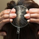 웰킨마포점 이미지