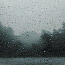 유진네 - 서천군 | 유진네