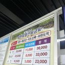 외도보타니아 | 거제도 여행 와현유람선 해금강 외도보타니아 투어 후기