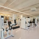 바디다짐 이미지