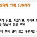 피부미인스킨케어 Daum카페