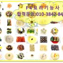 명문세탁 이미지