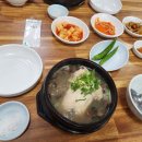 포항 금산삼계탕 티스토리