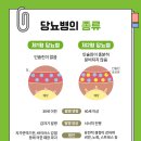 Wellness Gym 이미지