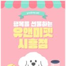 따뜻한헤어 | 🐾 시흥능곡 고양이분양 후기｜브리티시쇼트헤어와 시작한 따뜻한 일상