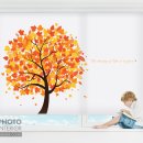 사계절일러스트 가을의 화려한 색상을 볼 수 있는 단풍나무 일러스트 디자인벽지입니다-뮤럴벽지,아이방벽지,인테리어벽지,롤스크린,블라인드 이미지