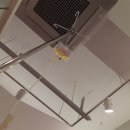 연대항외과의원 | 빈혈 어지러움 논현동 이석증 검사 비용 치질수술 27일차