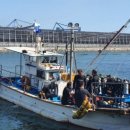 동해시-33 이미지