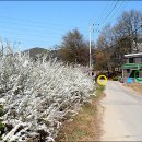 죽암경로당 이미지