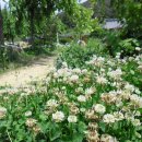 풍류정민박 이미지