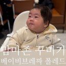 하루맘마 | 맘마존 구성 추천🍼 ｜베이비브레짜·폴레드 실제 사용 후기 (실패템 포함)
