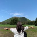 인더플럼 이미지