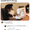 방배로19길 63 네이버블로그