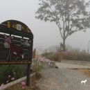 동키캐슬 캠핑장 이미지