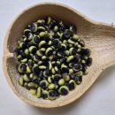 선비로2L | 어간장 예찬