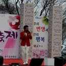 제6회 충주호 벚꽃 축제 이미지
