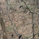 백운학생수련장 주차장 | 일출 산행 되돌아보기 | 출발 시간, 소요시간, 택시타고 이동, 북한산 최단코스 백운탐방지원센터 출발