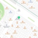 햄스터분양 베이비초롱 이미지