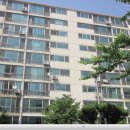 신월동208 이미지