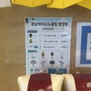 제주도감상암 | 제주도 스노쿨링 명소 추천! 코난비치 스노쿨링 후기 | 장비대여는 코난비치스노쿨링 월정점에서! 🌊