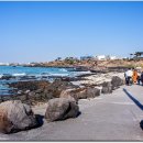 애월한담해안산책로 이미지