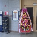 풀빛소리 이미지