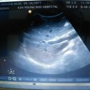 장안내과의원 이미지