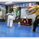 용인대한얼태권도 이미지