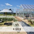 토성1농로 이미지