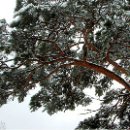 글사랑방 이미지