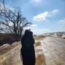 삼양택시 | 삼양 라운드 힐 뚜벅이 후기(+걸어 내려간 후기..)