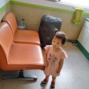 김치선의원 Daum카페